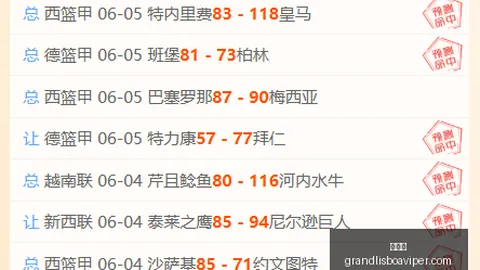 萨巴伦卡法网再夺冠，新葡京见证辉煌时刻
